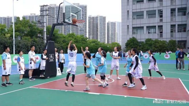 法国篮球联赛季后赛即将开启，吸引全球目光的简单介绍