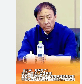 爱奇艺体育电脑版下载-足坛反腐涉案高层全部获刑：陈戌源无期李铁被判20年